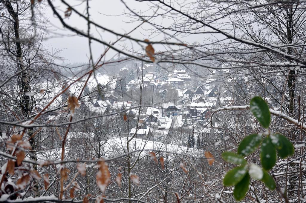 Haus Dümling Otel Braunlage Dış mekan fotoğraf