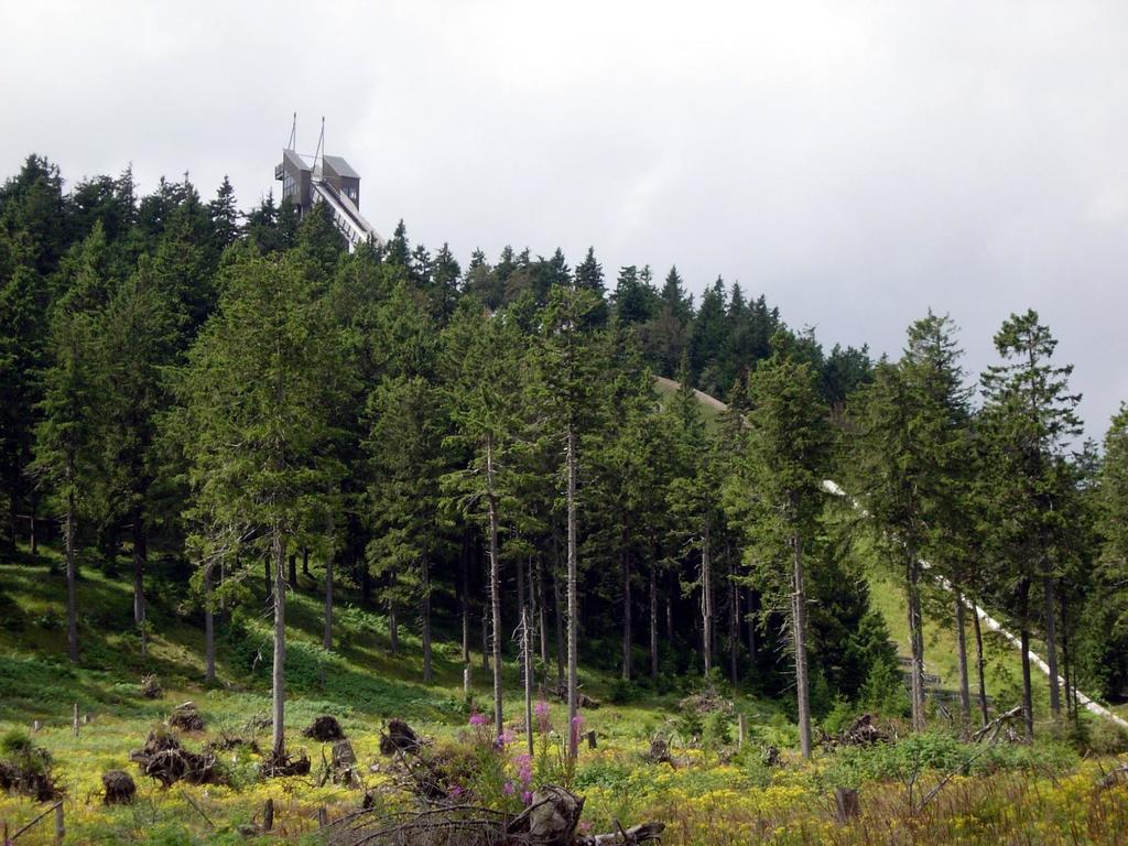Haus Dümling Otel Braunlage Dış mekan fotoğraf
