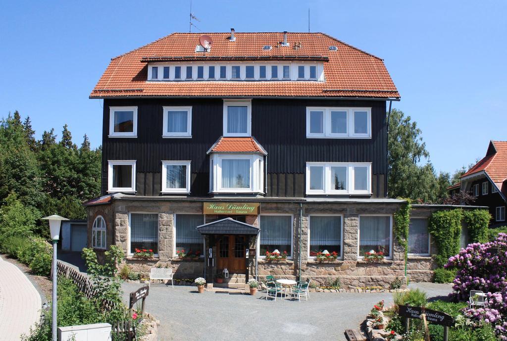 Haus Dümling Otel Braunlage Dış mekan fotoğraf